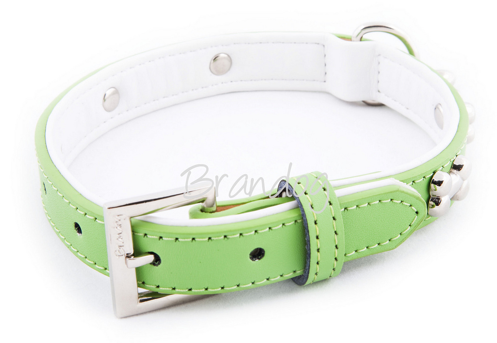 Muddy PAws Teal Dog Collar