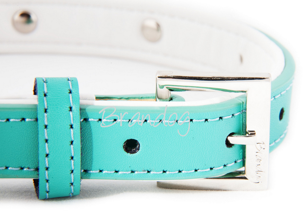 Muddy PAws Teal Dog Collar