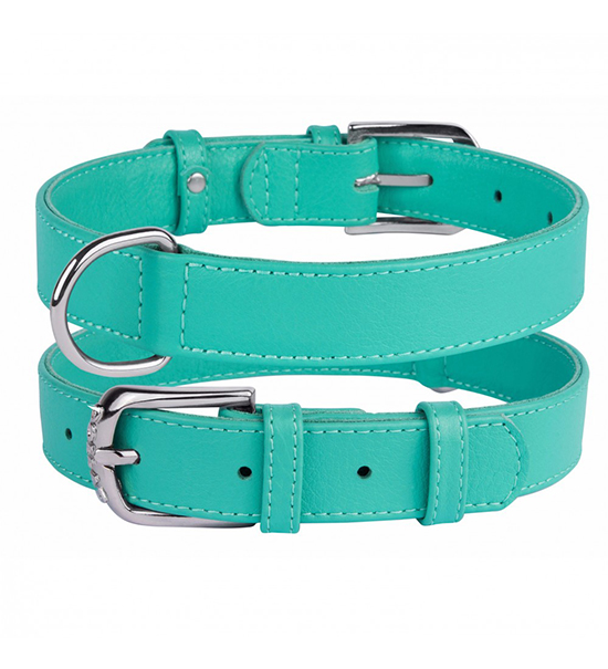 Muddy PAws Teal Dog Collar