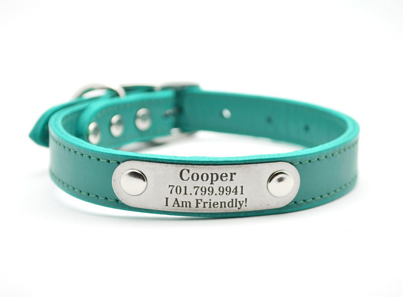 Muddy PAws Teal Dog Collar